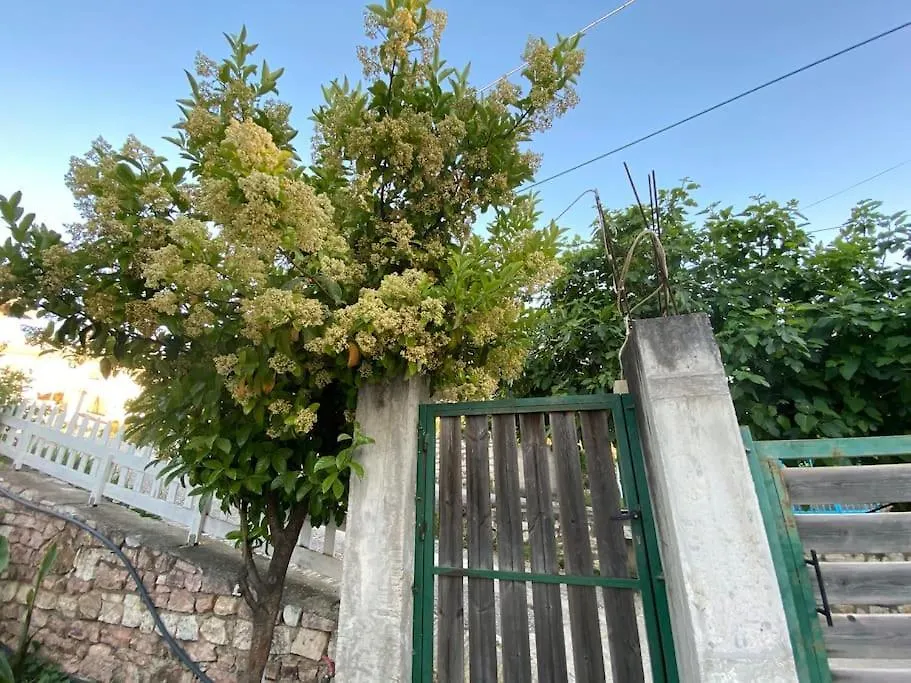 Guesthouse Xhimi Ksamil
